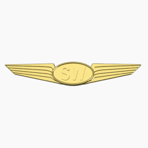 Kids Pilot Wings