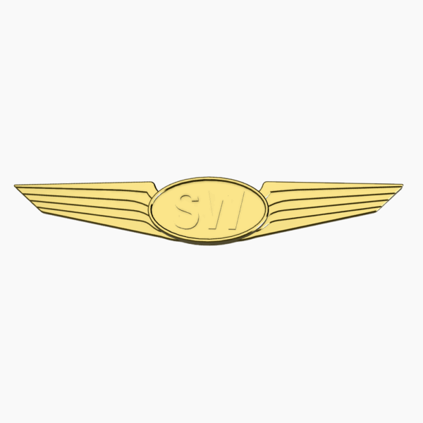 Kids Pilot Wings
