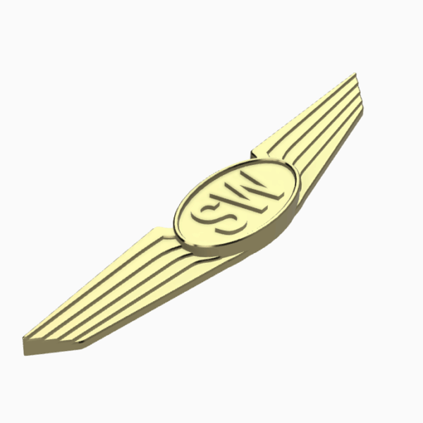 Kids Pilot Wings - Image 2